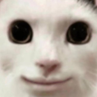 ╰⋃╯さんのプロフィール画像