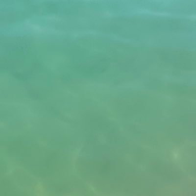 bsplush67's profile picture. 