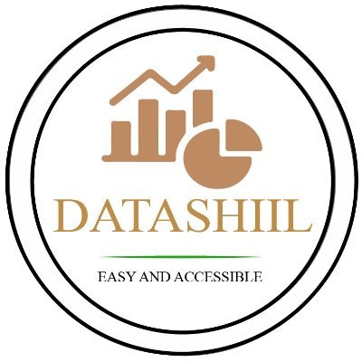 Vision Statement: Data-Driven Somalia: Informed decisions for societal well-being.
Datashiil, established in October 2022, is a consultancy firm dedicate