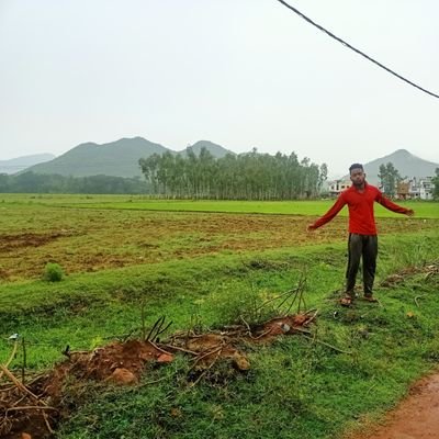 KaliprasadBeh16's profile picture. 