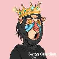 swingguaardian's profile picture. A team came into existence to do great things in the meta world.