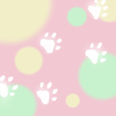 茶々着みりかさんのプロフィール画像
