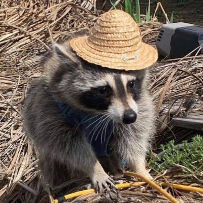 HorangE_eh's profile picture. 