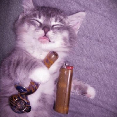 0% premine rune, meow. $sleepy 💤
https://t.co/VoWX02CIiL
https://t.co/vxwJKt7Sw9
no team, just 1 sleepy stoned cat.