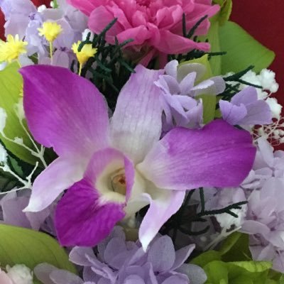 hanapurara's profile picture. ハンドメイドでカバンを作成しています。投稿している写真はクリーマーで購入頂けます。