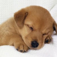 wea (@aa_kk8969) 's Twitter Profile