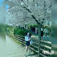 jungyeun69's profile picture. 인생은 희망과 성장의 길입니다.