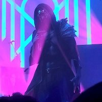 cyborg connoisseur (@cha0sgr3ml1n) 's Twitter Profile