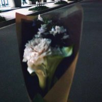 u.zu (@chapeu_noir) Twitter profile photo