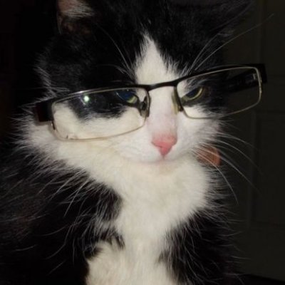 ELO_585's profile picture. 21