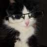 ELO_585's profile picture. 21