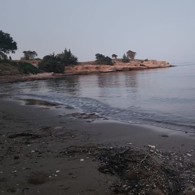 isil_benal's profile picture. 