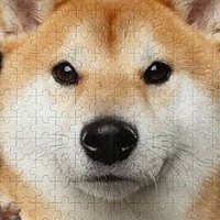 投資家RuffRuff (@scum_lives_on) 's Twitter Profile Photo