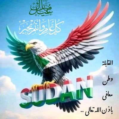 alasharimo71334's profile picture. 