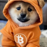 Scott Calnon (@scottcalnon) 's Twitter Profile