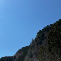 気がきかない (@jon___nie) 's Twitter Profile