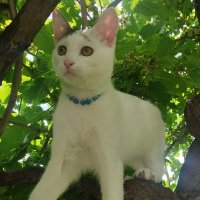 Efe (@efe20232003) 's Twitter Profile