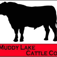 Muddy Lake Cattle Co (@muddylakecc) 's Twitter Profile
