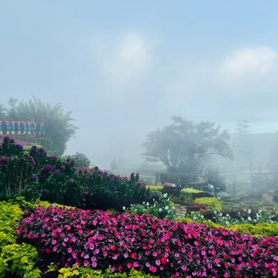 LawsDoNotApply's profile picture. 