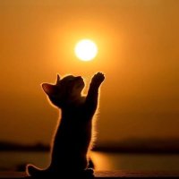 ming oh (@ming_0h) 's Twitter Profile