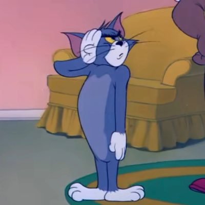 cvvc68092557's profile picture. 