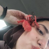 Nagham (@nagham___7) Twitter profile photo