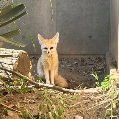 pero0014's profile picture. たまにつぶやき。