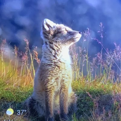 Ma4891450646963's profile picture. 