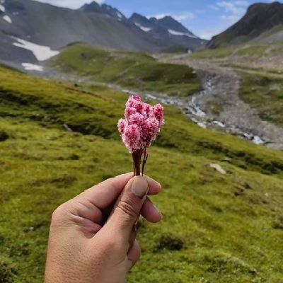 shakirwanii's profile picture. soloist