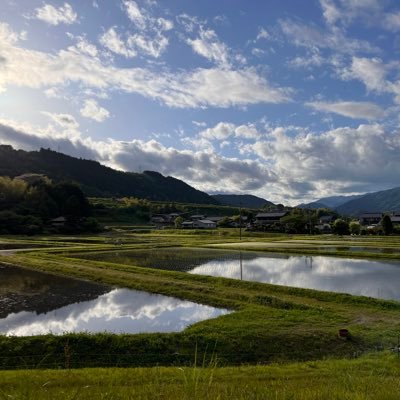 marlmarl_jp's profile picture. 