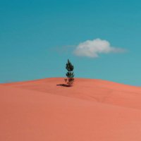 Hendra-PI (@ardnehpi) 's Twitter Profile
