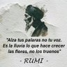 TARPAZ's profile picture. Verdades, Locuras y Algo Mas.
