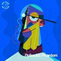polkaotpantom's profile picture. Sky based web 3 start up!
