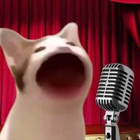 napsso (@napsso_os) 's Twitter Profile