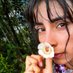 Ceiba (@ceibamarie) Twitter profile photo Ceiba (@ceibamarie) Twitter profile photo