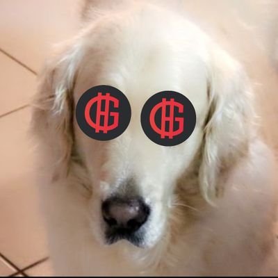 CryptoCS Profile