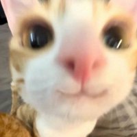 Danny CM ❤️ (@danny278) 's Twitter Profile Photo Danny CM ❤️ (@danny278) 's Twitter Profile Photo