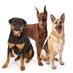 STRS Ohio Watchdogs (@strsohwatchdogs) Twitter profile photo STRS Ohio Watchdogs (@strsohwatchdogs) Twitter profile photo