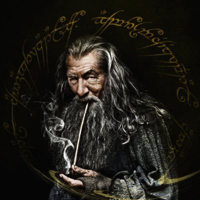 A punished Gandalf. 29. He/him. Sword and bow appreciator. Mostly an, a little com.