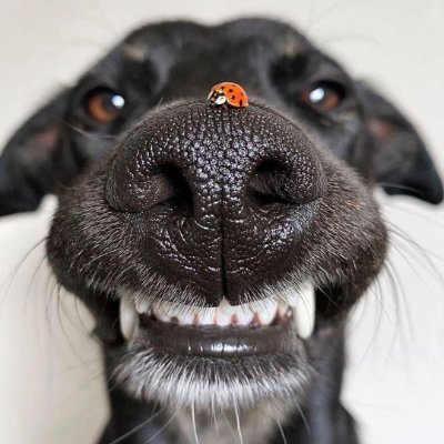 HGobsmack's profile picture. 