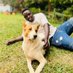 Mirembe dog shelter (@kangabowilber) Twitter profile photo Mirembe dog shelter (@kangabowilber) Twitter profile photo