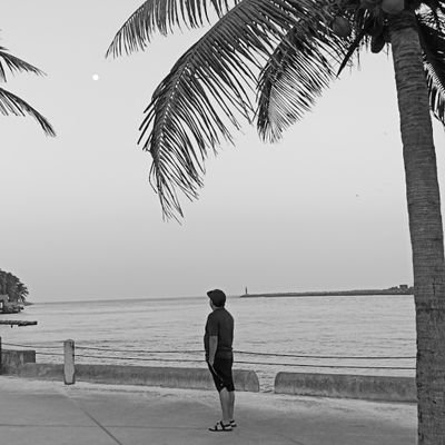 elburrolechoso's profile picture. Punk