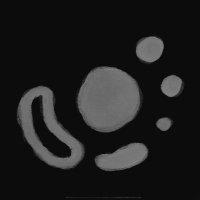 Bonsai☀️ (@bonsaiverse) 's Twitter Profile Photo Bonsai☀️ (@bonsaiverse) 's Twitter Profile Photo