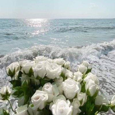 tarni_balgoher's profile picture. 