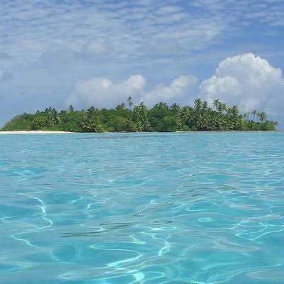 JGandomi46427's profile picture. 