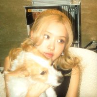 sondus (@iimsondus) 's Twitter Profile