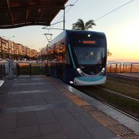 _1umit (@_1umit) 's Twitter Profile Photo