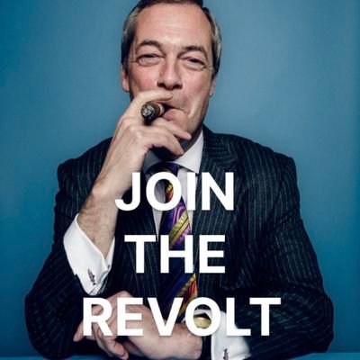 christineforsh1's profile picture. female