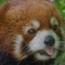 Sayi Cruz (@l0s3rb4bi) Twitter profile photo Sayi Cruz (@l0s3rb4bi) Twitter profile photo