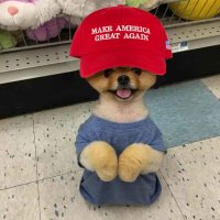 Solman☯️ (@ssol_man) 's Twitter Profile Photo Solman☯️ (@ssol_man) 's Twitter Profile Photo